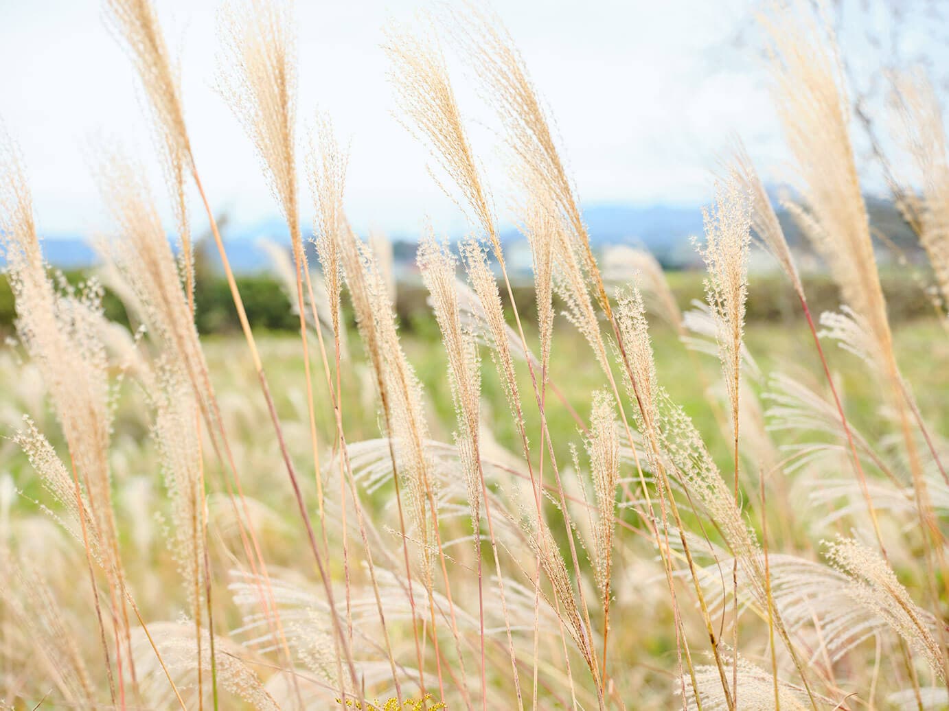 塩谷のフォトギャラリー 【栃木県塩谷町】移住・定住支援サイト 塩谷ぴーす