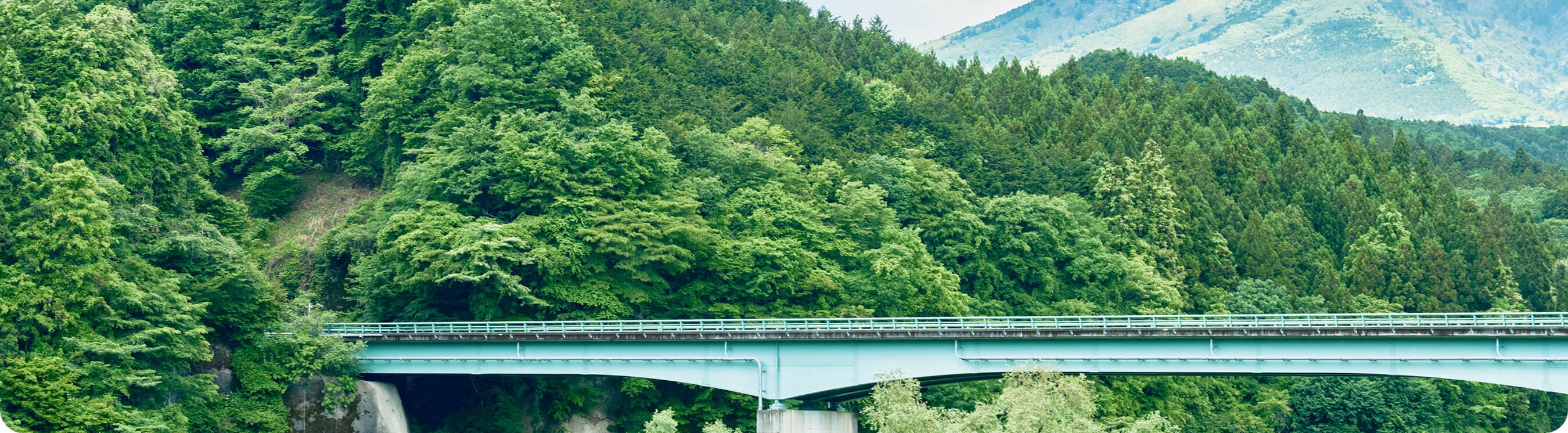 動画で見る塩谷