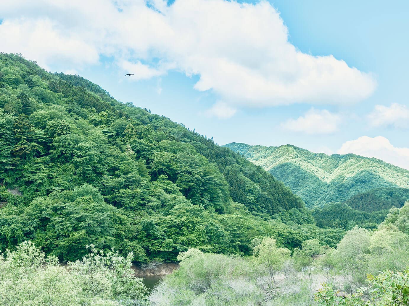 塩谷のフォトギャラリー 【栃木県塩谷町】移住・定住支援サイト 塩谷ぴーす
